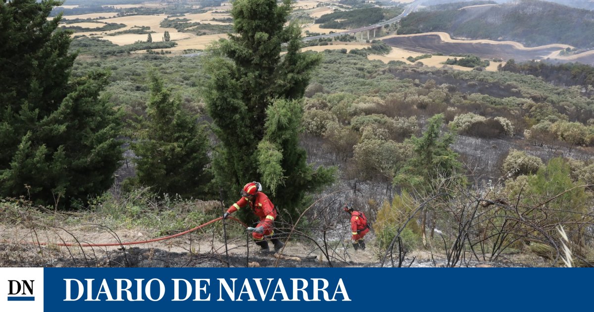 Incendios en Navarra: el comité de crisis estudiará "una a una" por tierra y aire la situación en las 13 localidades desalojadas, con 900 vecinos afectados diariodenavarra.es/noticias/navar…