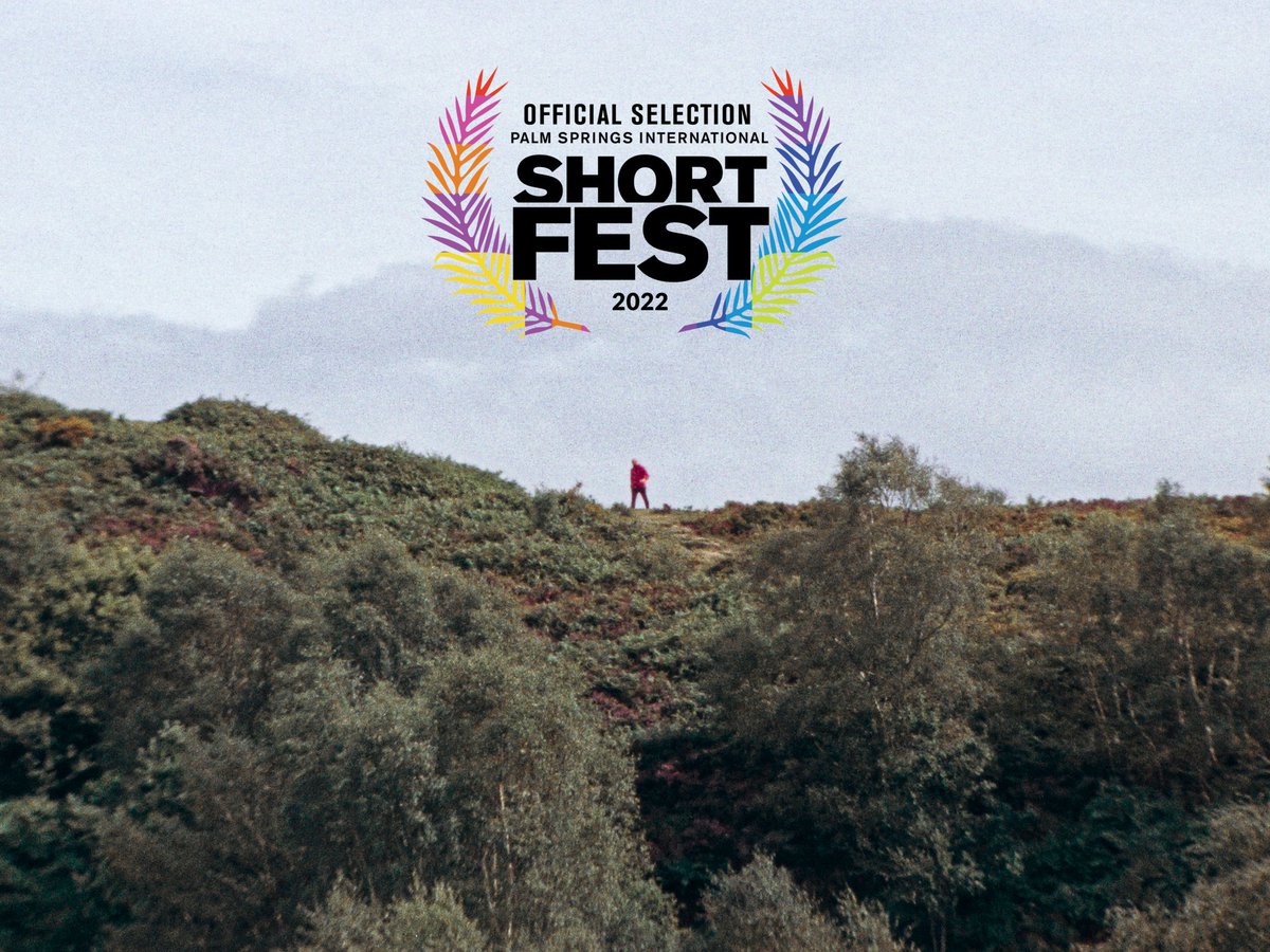 PARALLEL MADNESS tweet media