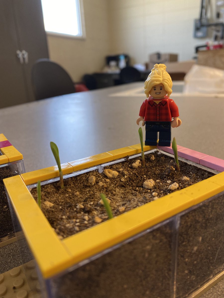 LegoForages's tweet photo. #DYK incorrect depth is the major cause of failed plantings?! Check out this #Lego #science demo on the impact of shallow, just right, and too deep plantings!
#LearningWithLego #DoingScienceThings #NationalForageWeek
@UGAExtension @UGA_CollegeofAg @gaforages @ugaCAESresearch https://t.co/xWGJUBx78d