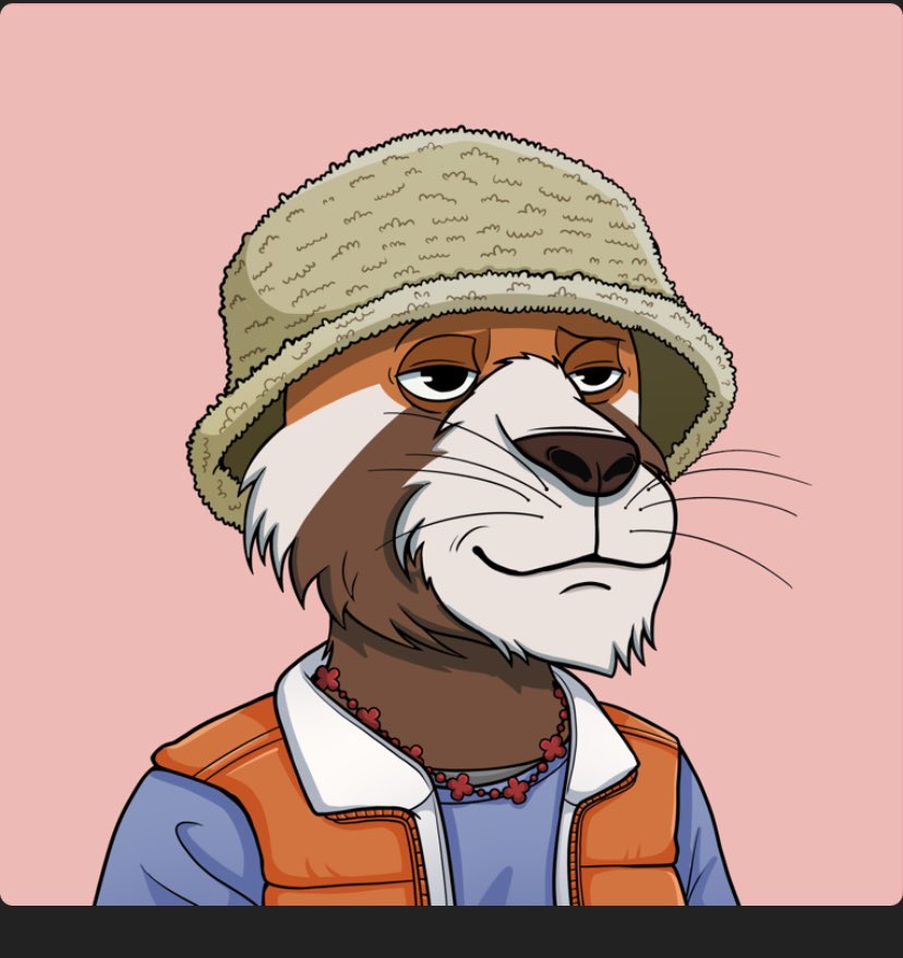 Luka Cipar tweet media