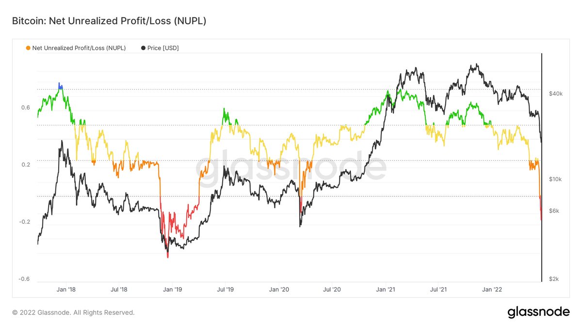 Crypto Rover tweet media