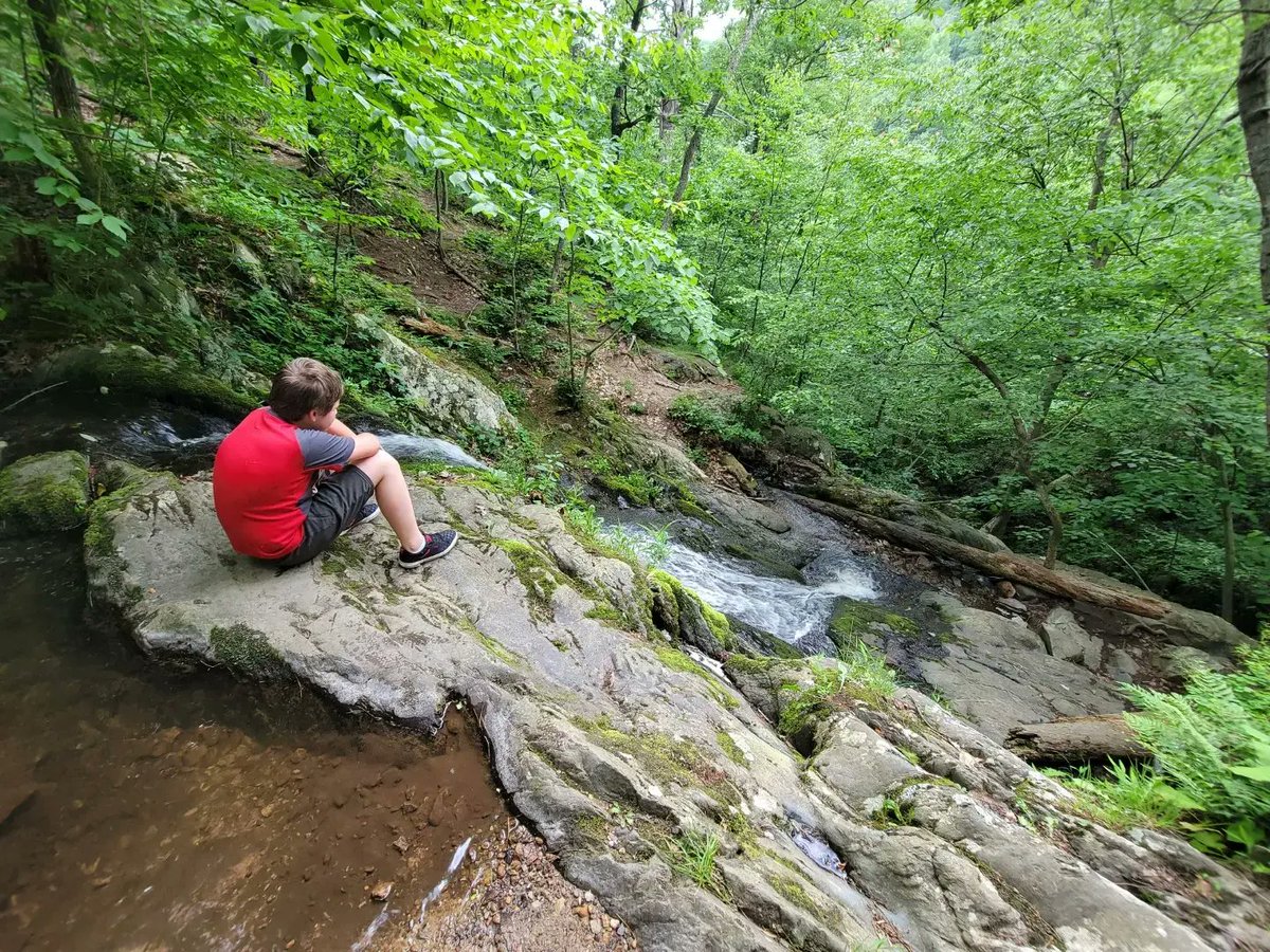Miss_EmmaK3's tweet photo. Beautiful.
#ShenandoahNationalPark #familyhike #summeradventures https://t.co/EyJqQ400Fr