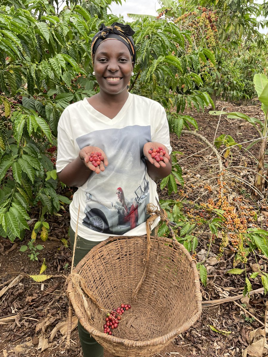 janegisha's tweet photo. Emwanyi Terimba… a blessed week to everyone here 🤗🤗🤗 mugende mulime https://t.co/clFQ3FwCZK