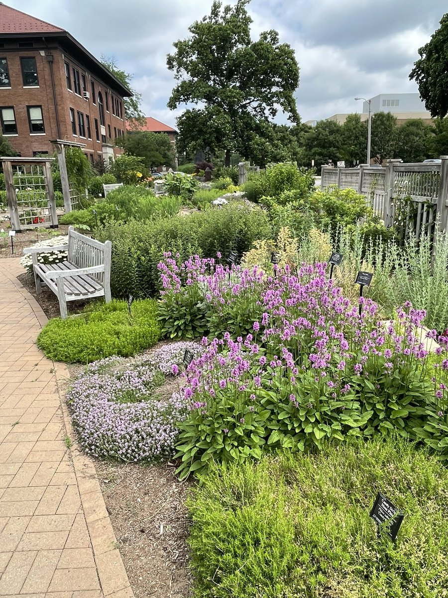 PurdueAgDean's tweet photo. The heat may have been intense last week but the @PurdueHortLA gardens were still spectacular. If you have a chance, I suggest a walk through them the next time you are on campus. https://t.co/l6jNkwcXRI
