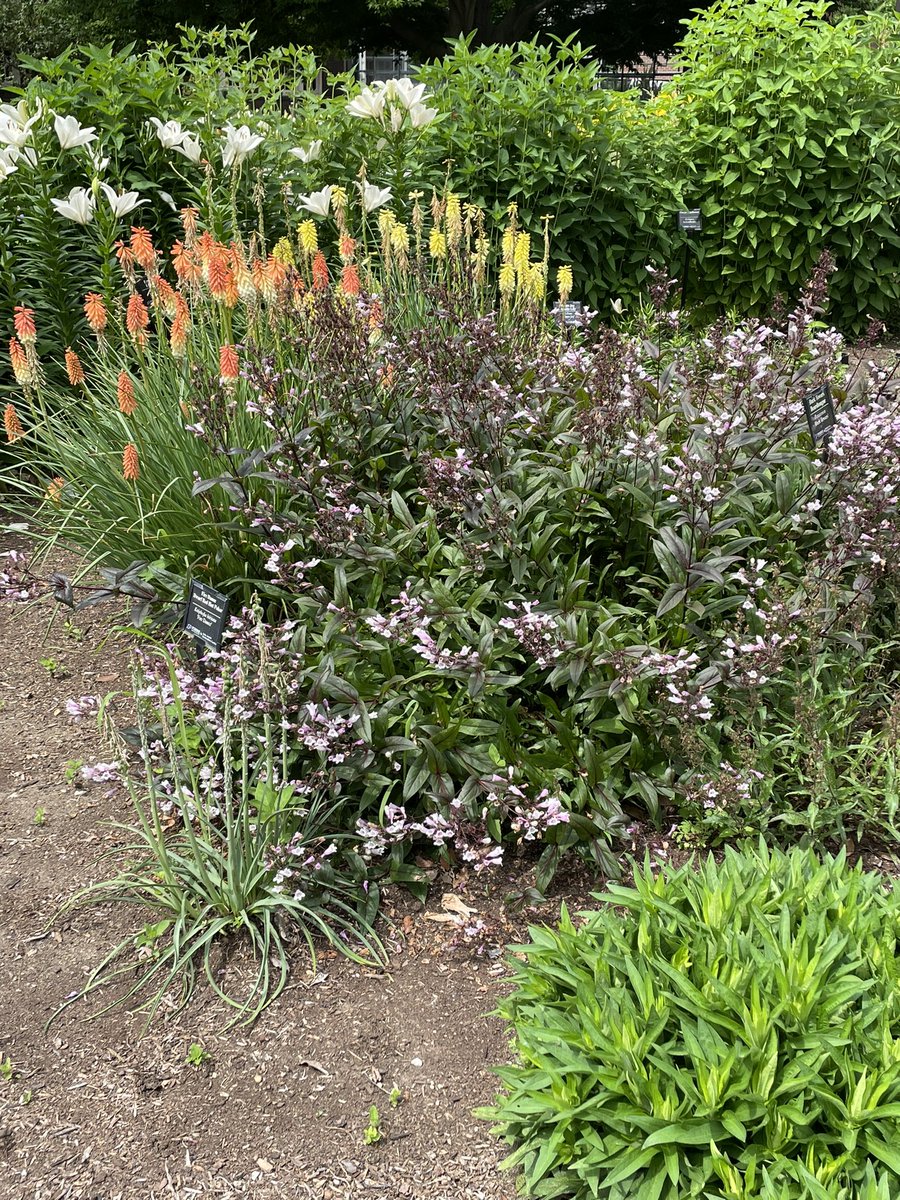 The heat may have been intense last week but the <a href="/PurdueHortLA/">Purdue Horticulture and Landscape Architecture</a> gardens were still spectacular. If you have a chance, I suggest a walk through them the next time you are on campus.