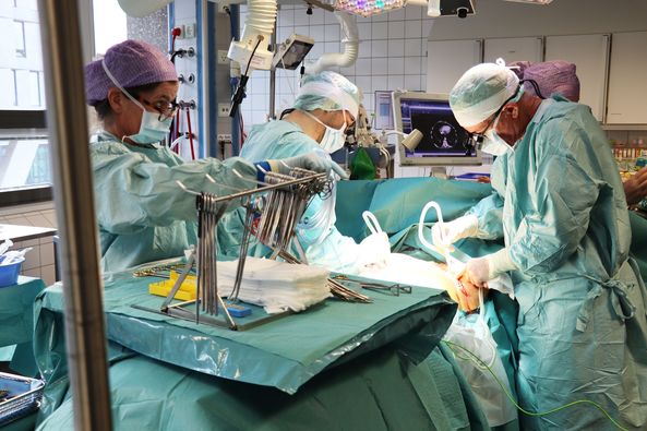 Rigshospitalet (@rigshospitalet) on Twitter photo Over 800 kritisk lungesyge patienter har fået nye lunger de sidste 30 år. Alle lungetransplantationer i DK udføres på Rigshospitalet, men en del af opfølgningen kan også foregå på <a href="/AUHdk/">Aarhus Uni.hospital</a> eller <a href="/OUHhospital/">OUH Odense Svendborg</a>
bit.ly/800-lunger-30-…
<a href="/Lungeforeningen/">Lungeforeningen</a> #sundpol Over 800 kritisk lungesyge patienter har fået nye lunger de sidste 30 år. Alle lungetransplantationer i DK udføres på Rigshospitalet, men en del af opfølgningen kan også foregå på <a href="/AUHdk/">Aarhus Uni.hospital</a> eller <a href="/OUHhospital/">OUH Odense Svendborg</a>
bit.ly/800-lunger-30-…
<a href="/Lungeforeningen/">Lungeforeningen</a> #sundpol