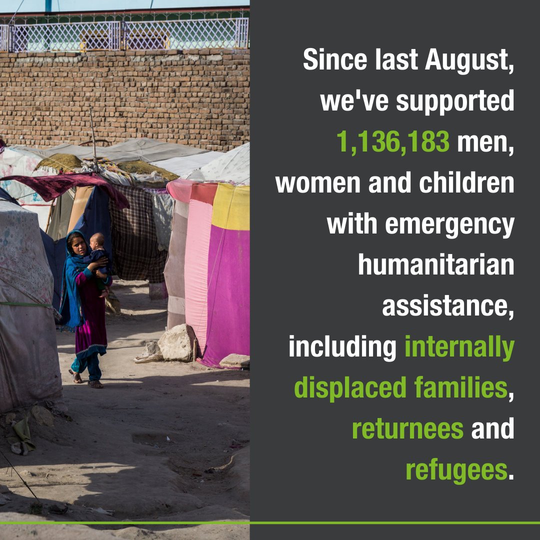 Afghanaid's tweet image. Happy #WorldRefugeeDay! 💚

Today, we stand with all refugees across the globe. Having faced many challenges + hardships, all refugees deserve our unwavering love + support. 

Every person has the human right to seek safety. 

#WithRefugees #SeekSafety #AfghanRefugees