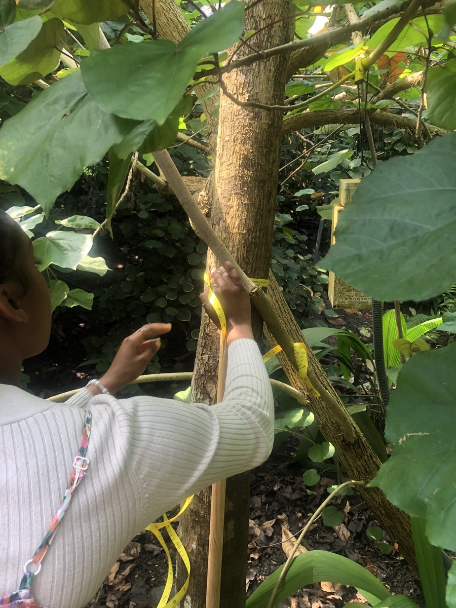 This month the Year 12 Biology students had the fantastic opportunity to visit the Eden Project. The students took part in a workshop, in which they investigated the Carbon Storage in Tropical Rainforest Trees.

Read the full story here: bit.ly/3OnAcug