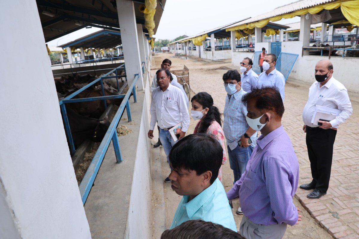 आज के निरीक्षण के दौरान सेक्टर-135 की गौशाला में अभिलेखों की जांच कर संबंधित अधिकारियों को एक सप्ताह में गोबर गैस प्लांट संचालित करने, समुचित सौर ऊर्जा की व्यवस्था, सूखा भूसा-हरा चारा पर्याप्त मात्रा में गौवंशों को देने के निर्देश दिए।
<a href="/InfoDeptUP/">Information and Public Relations Department, UP</a> <a href="/PibLucknow/">PIB in Uttar Pradesh</a>