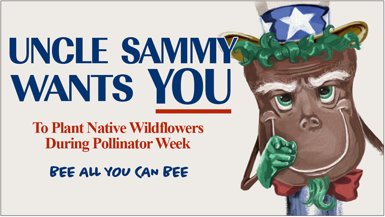 USDA_NRCS's tweet photo. This #PollinatorWeek, we invite you to join the campaign to help pollinators. Here are some tips to help you get started: https://t.co/zeEMj0eHqW https://t.co/Sty3ne2Fm0