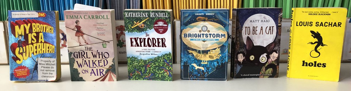 The final book vote of this school year for Year 4. What would you pick?