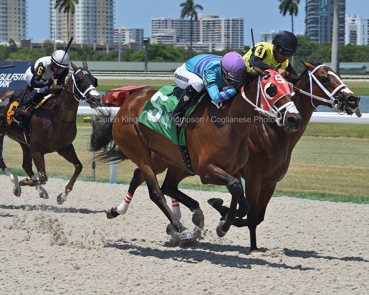 gzerparacing's tweet photo. #20Jun Drinks On Me and apprentice jockey Ailsa Morrison @LCjockette winning race 4 at #GulfstreamPark for @gzerparacing 

Congratulations to owner Ohana Racing LLC @esoued 

8️⃣th victory for trainer Gilberto Zerpa #RoyalPalmMeet 2022 

📸 @coglianesephoto https://t.co/exqePfEQ4E
