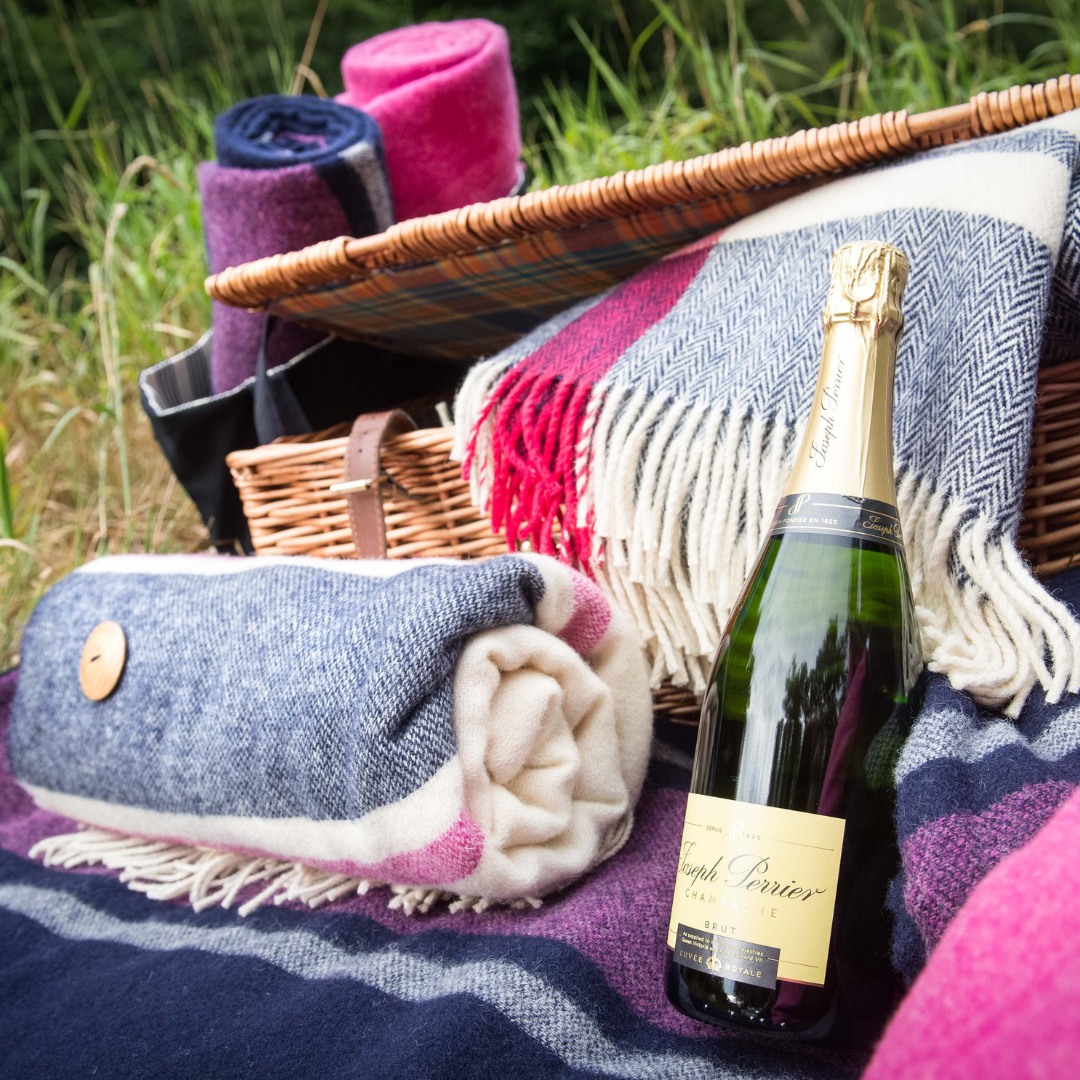 BritishWool's tweet image. The perfect weather for #NationalPicnicWeek

Shop our small range of British wool throws and blankets 
bit.ly/3y4UBPt

📸 credit @chilcottuk - bit.ly/39AE6RJ

#BritishWool #WoolThrow #Picnic #Park #Wool #Blanket #WoolBlanket #SummerPicnic #Sunny