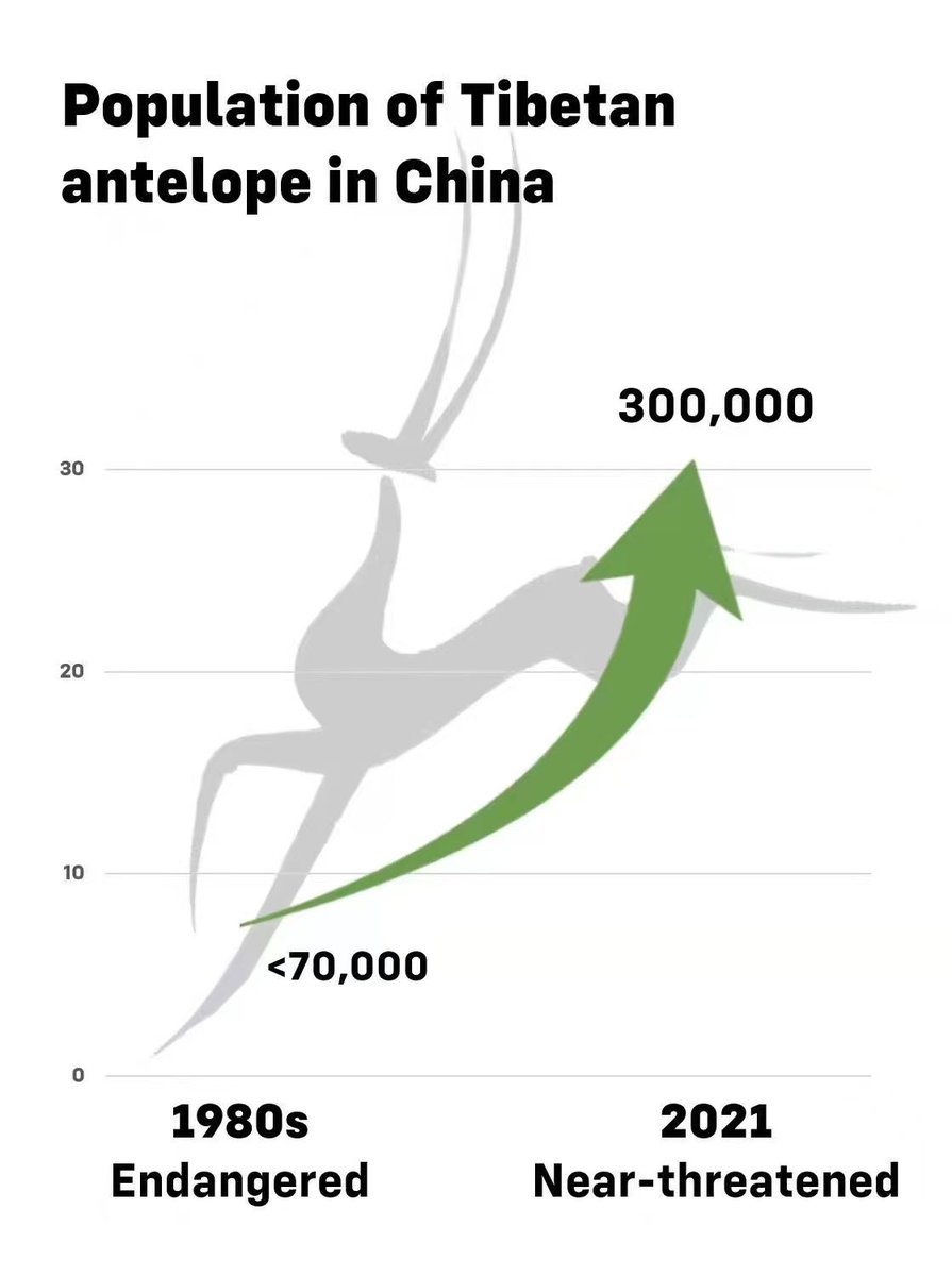China's #HohXil is a paradise for wildlife. In the past few decades ...