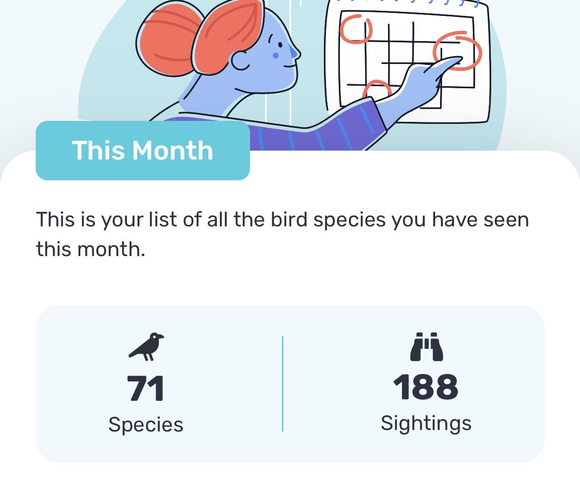 SamHockaday's tweet photo. Not a bad month of birdwatching so far #birdwatching #birds #30DaysWild #nature https://t.co/x9dNVoHGkH