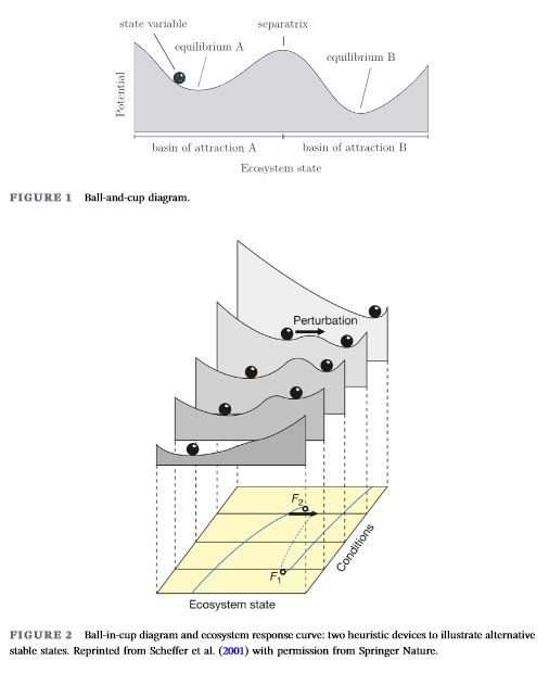 ResModelAsso's tweet photo. [New #NRM Paper] "A stylized model of stochastic ecosystems with alternative stable states" by Stecher and Baumgärtner (2022)

https://t.co/KAFZfmsnkB

critical thresholds, #ecosystem #management, #multistability,
regime shift, #resilience, stochastic process, #tippingpoint |s https://t.co/8CCiD0NLLs