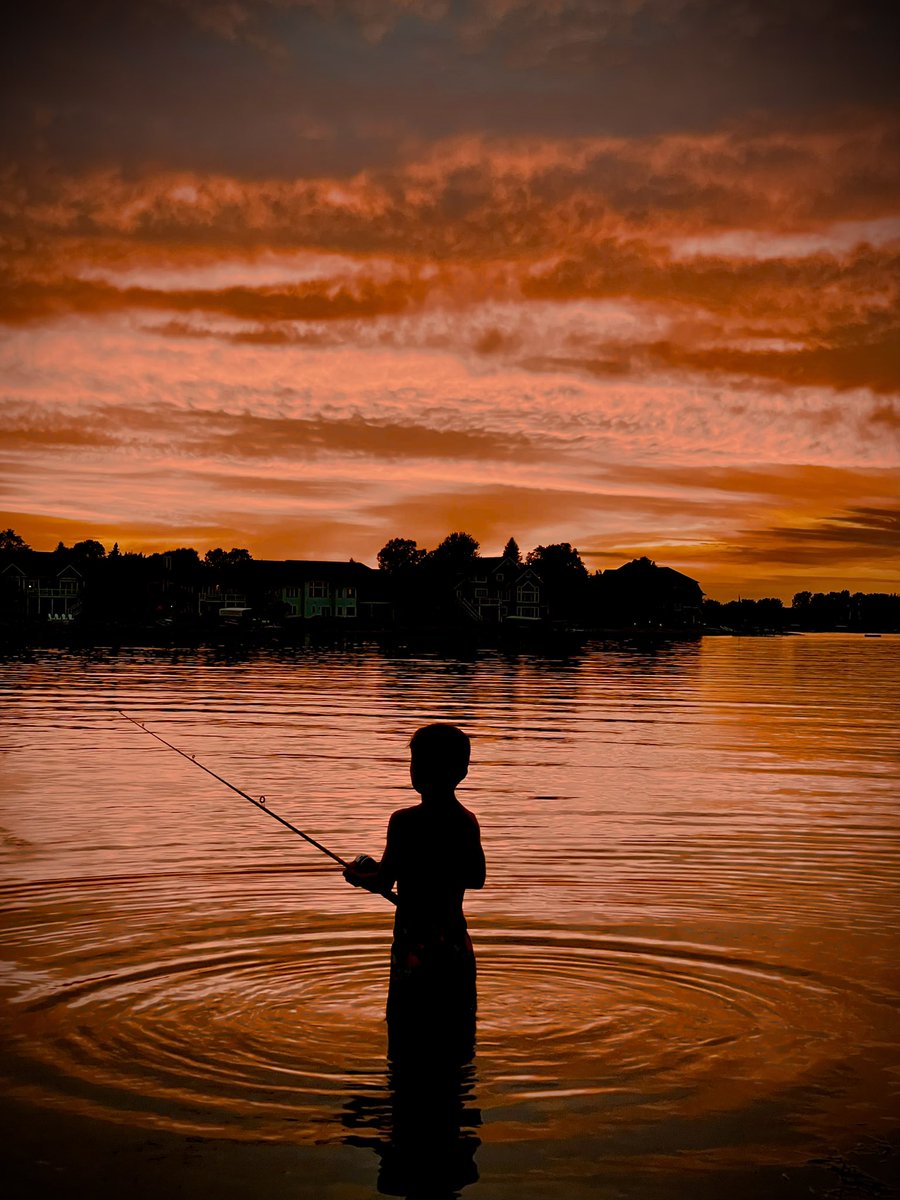 Travis Plain tweet media