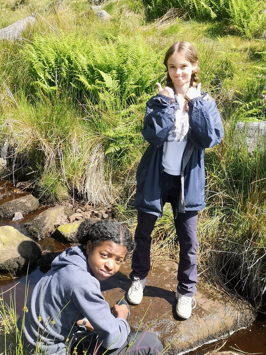 Amy Lemon tweet media