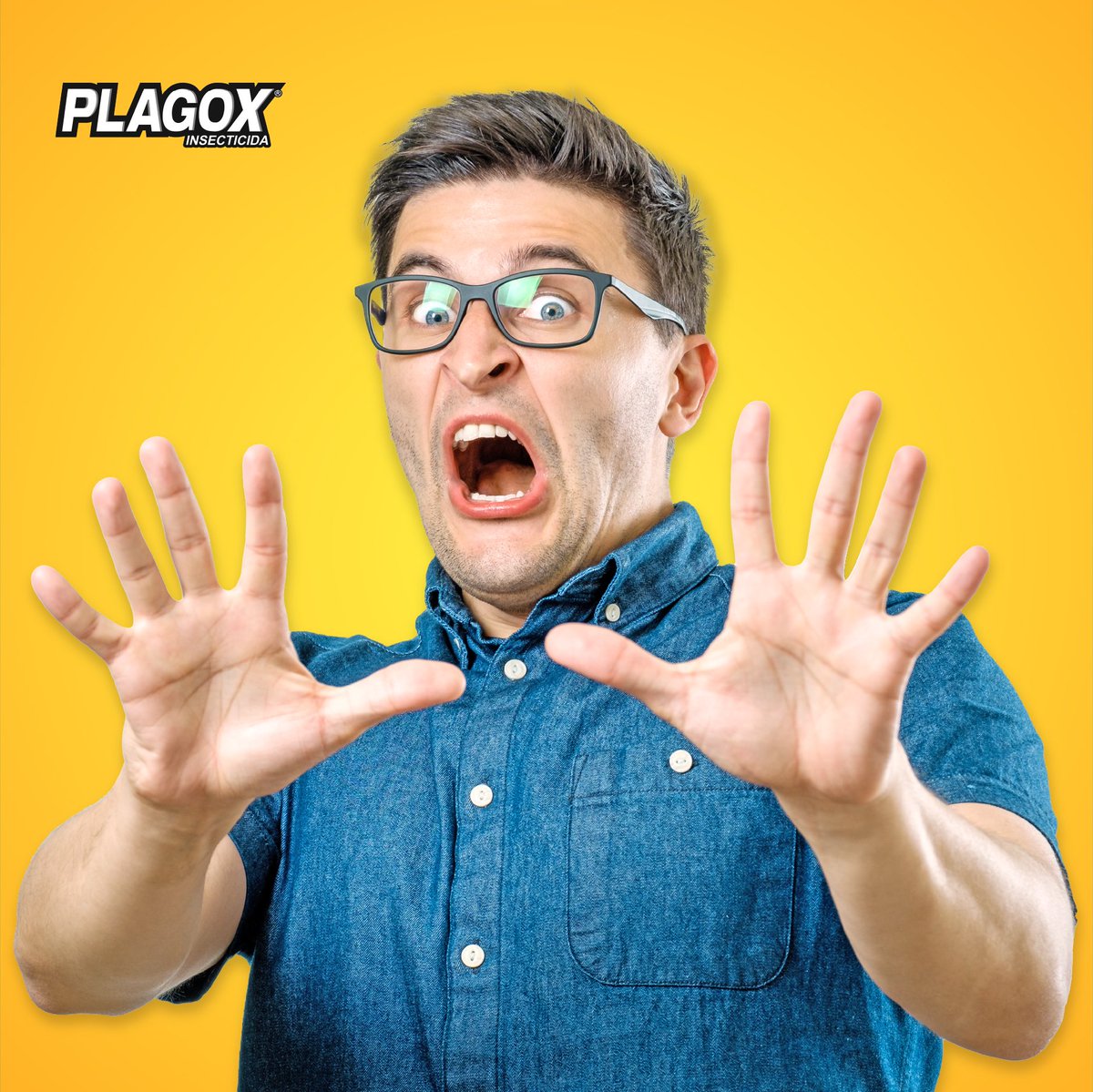plagoxrd's tweet photo. ¿Ópera?

¡Qué va!
 
Es el canto llamado MIEDO al ver la cucaracha voladora que acaba de posar en la ventana.

#AcábalasConPlagox #AdiósALasPlagas https://t.co/pVy5wE5ckg