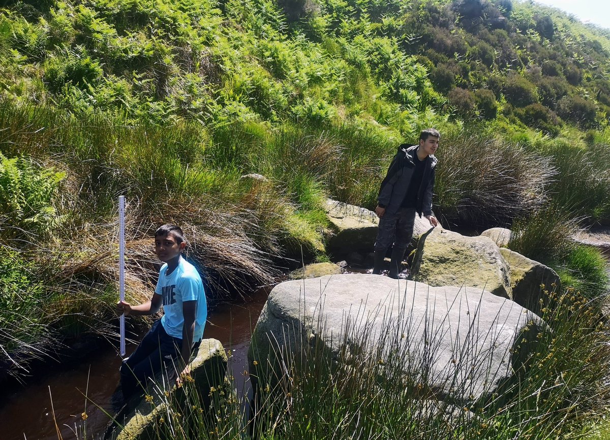 Amy Lemon tweet media