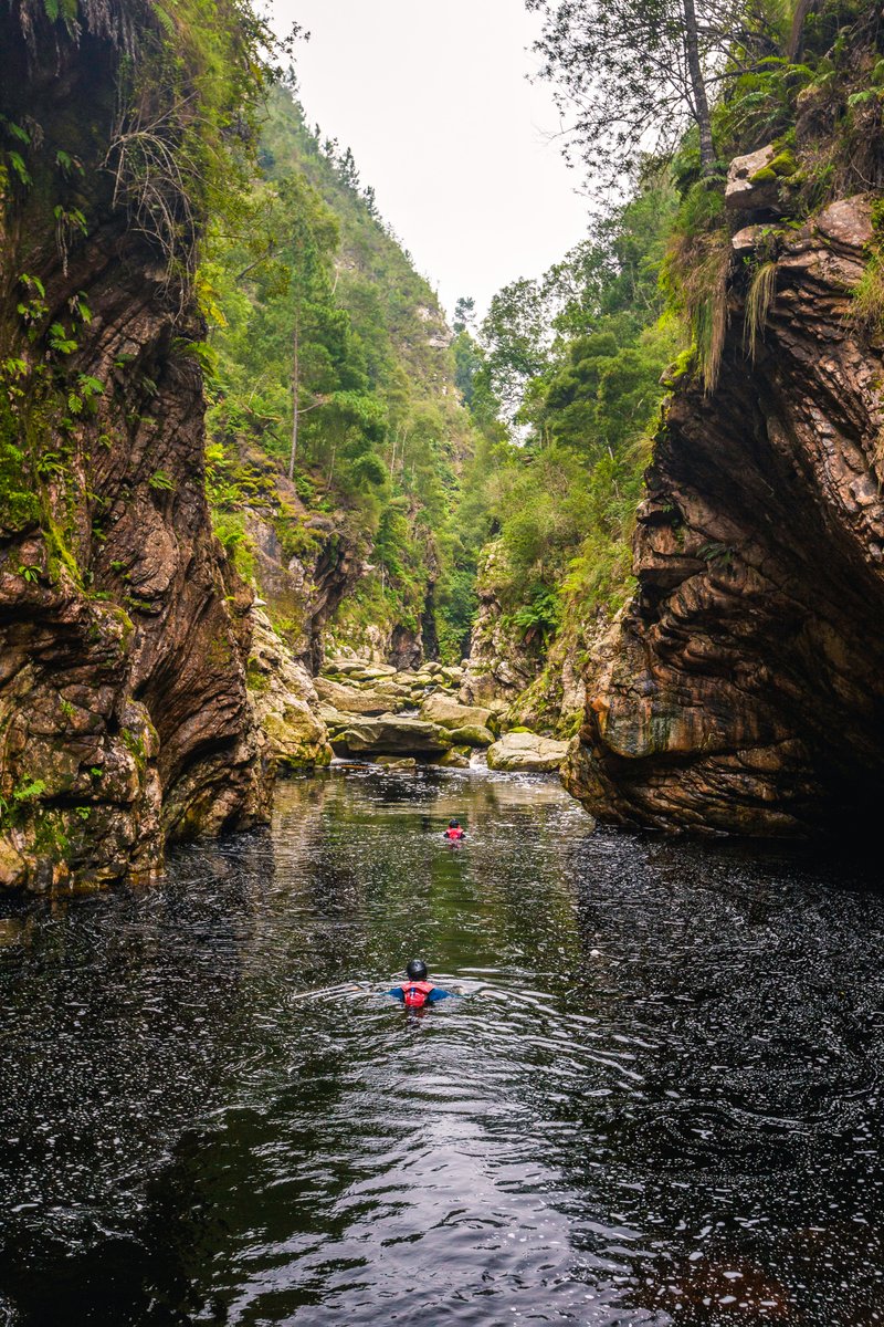 VisitSA_India's tweet photo. With its mouth located in a national park and lush wildlife along its banks, Storms River in the Eastern Cape is a scenic marvel. Come take a swim in some of South Africa's most beautiful waters.
#MeetSouthAfrica #SouthAfricaTravel #VisitSASoon #Adventure #StormsRiver #Swimming https://t.co/OK31IKE1TV