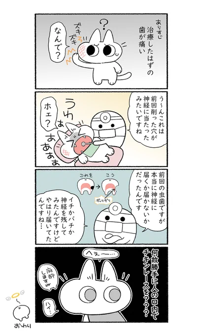 どうして… #ネコちゃんで日記 