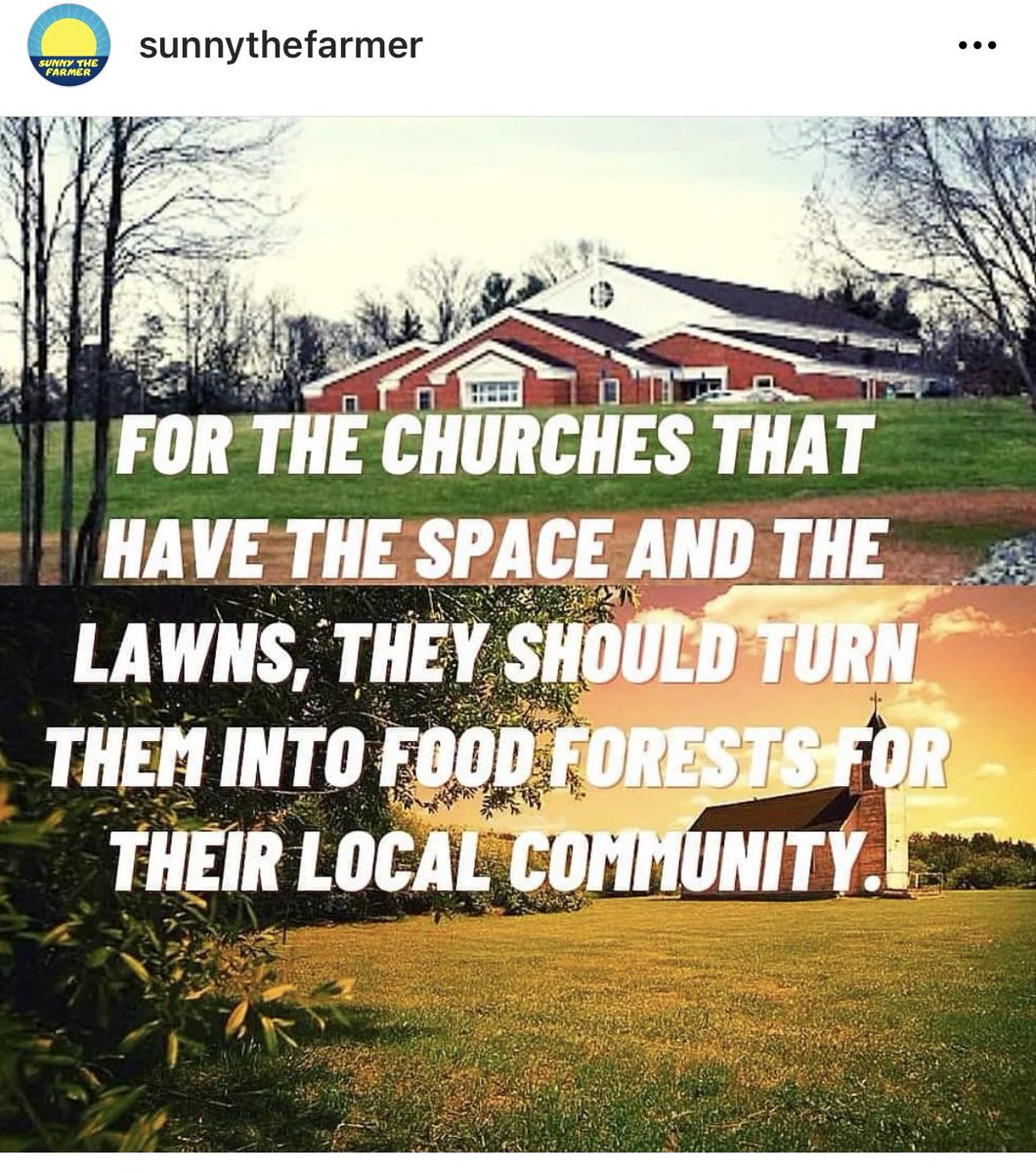 Happyholistichs's tweet image. Edible gardens should be the norm for institutions in general. Churches, schools, hospitals, libraries, prisons etc. should all grow food on their grounds instead of paying people to mow grass and spray weed killer.