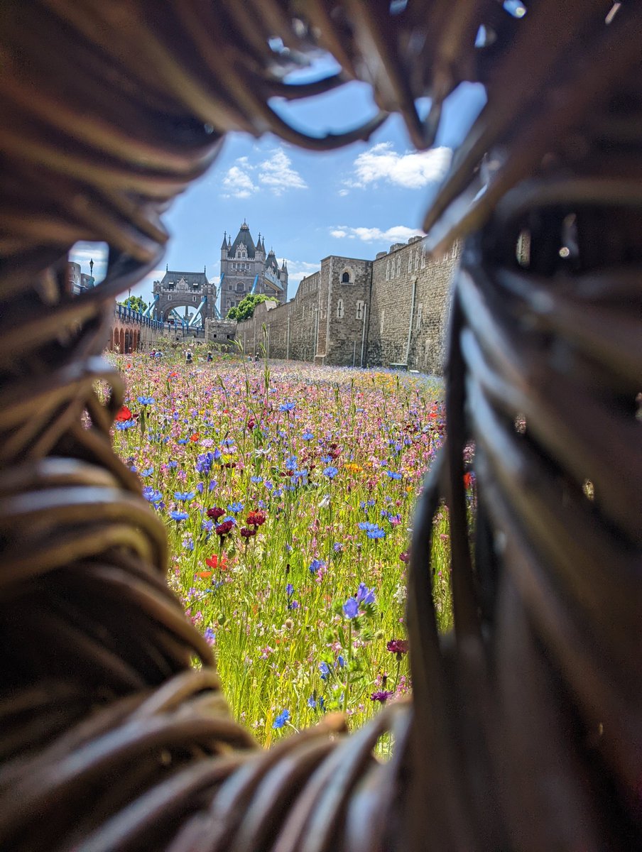 AlfredRJHawkins tweet media