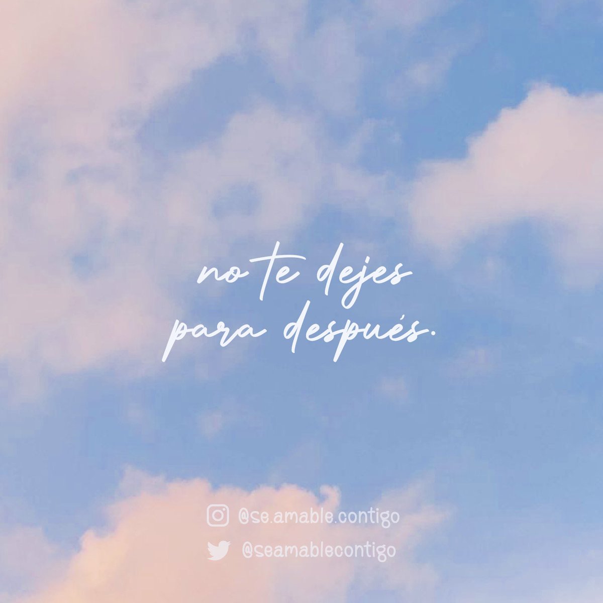 seamablecontigo's tweet photo. la vida es hoy, aquí, ahora.
no lo olvides. ✨ https://t.co/PTvqSukibh