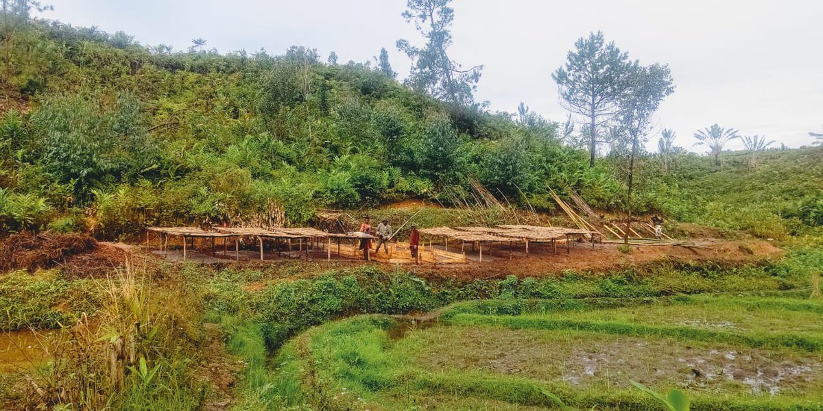 TetikasaAla's tweet photo. At the beginning of June, the germoirs are being filled and the 6 nursery shelters are almost finished.
All in Bamboo or in responsible and natural materials.

Let's keep Up the Good ans Right Work 🌱🌱🌱

#CardanoCommunity #CNCALA #EcosystemALA https://t.co/N0wrLTglVr