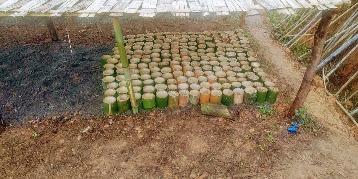 TetikasaAla's tweet photo. At the beginning of June, the germoirs are being filled and the 6 nursery shelters are almost finished.
All in Bamboo or in responsible and natural materials.

Let's keep Up the Good ans Right Work 🌱🌱🌱

#CardanoCommunity #CNCALA #EcosystemALA https://t.co/N0wrLTglVr