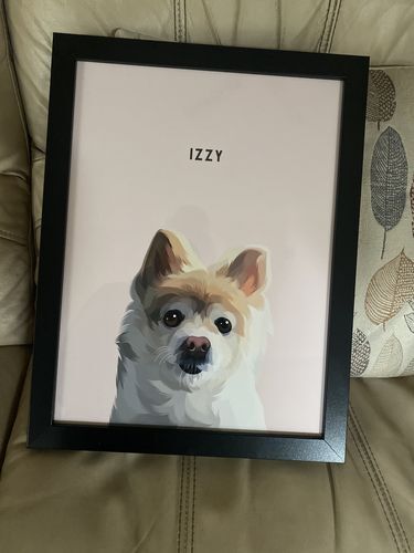 donutail's tweet photo. Such a wonderful story about IZZY.  Happy Birthday 

#dogslife #dogslifestyle #dogofmelbourne #dogsofsydney #dogsofbrisbane #dogslover #puppylife #puppylove #aussiedoggos #aussiedog #aussiecattledog https://t.co/4hMrLsNYy3