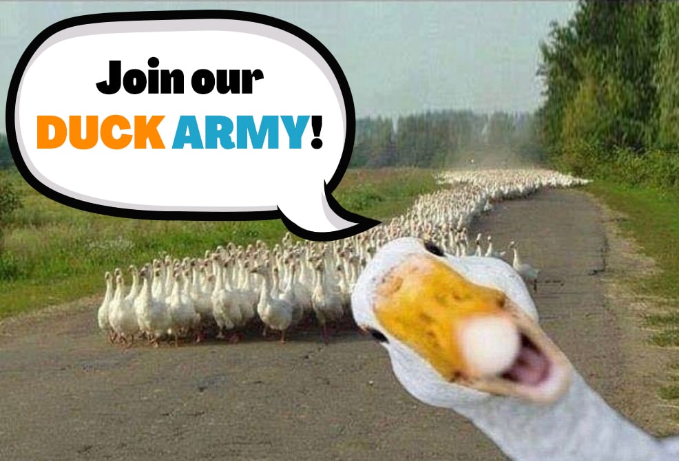 UglyDuck.wtf tweet media