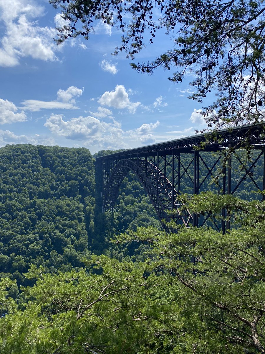 Carrie Smith tweet media