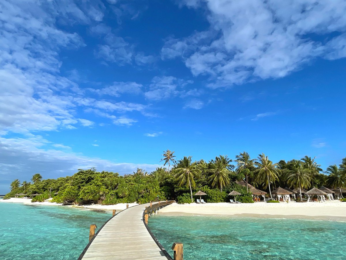 reethifaru's tweet photo. We are excited to participate in TTM Awards 2022! We would appreciate the support to vote for us! Link is mentioned in Bio. Thank you for the continued support!

#TTM2022 #reethifaru #reethifaruresort #maldives #travel #vacation https://t.co/pPHeJZQCxz