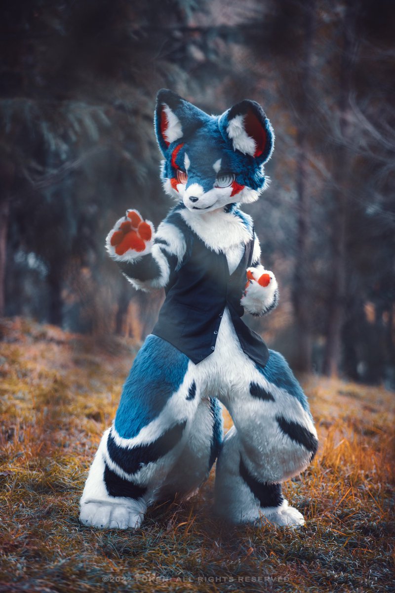 #兽装100天 
#FursuitEveryday 
2020.12.19 Day 55
夕焼けの写真を撮ろうとしていたんですが、うまく進まなかった。残念だと思う><