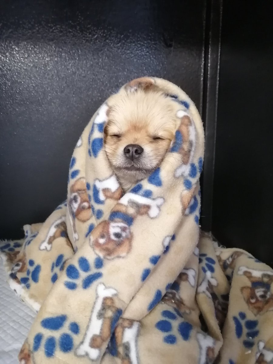 Monday morning before having coffee be like... 
GM and happy Monday everyone!