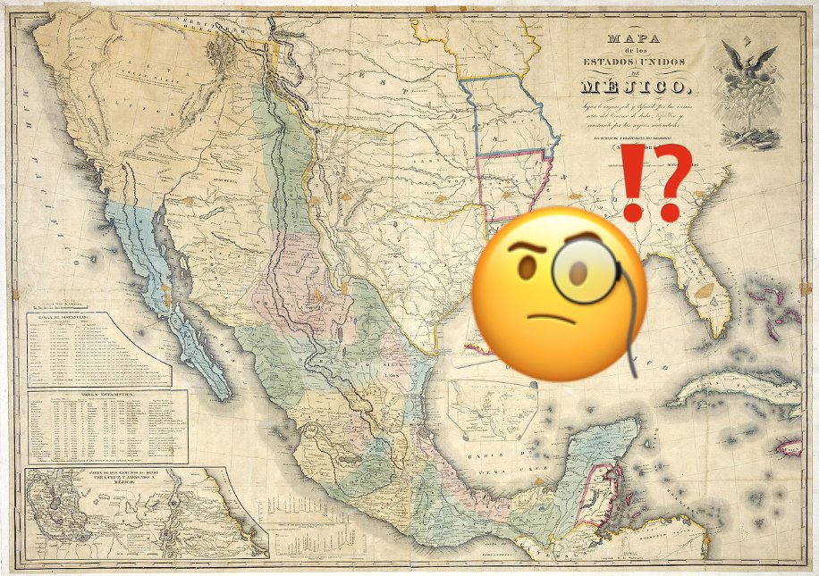 Clara Dealberto tweet media