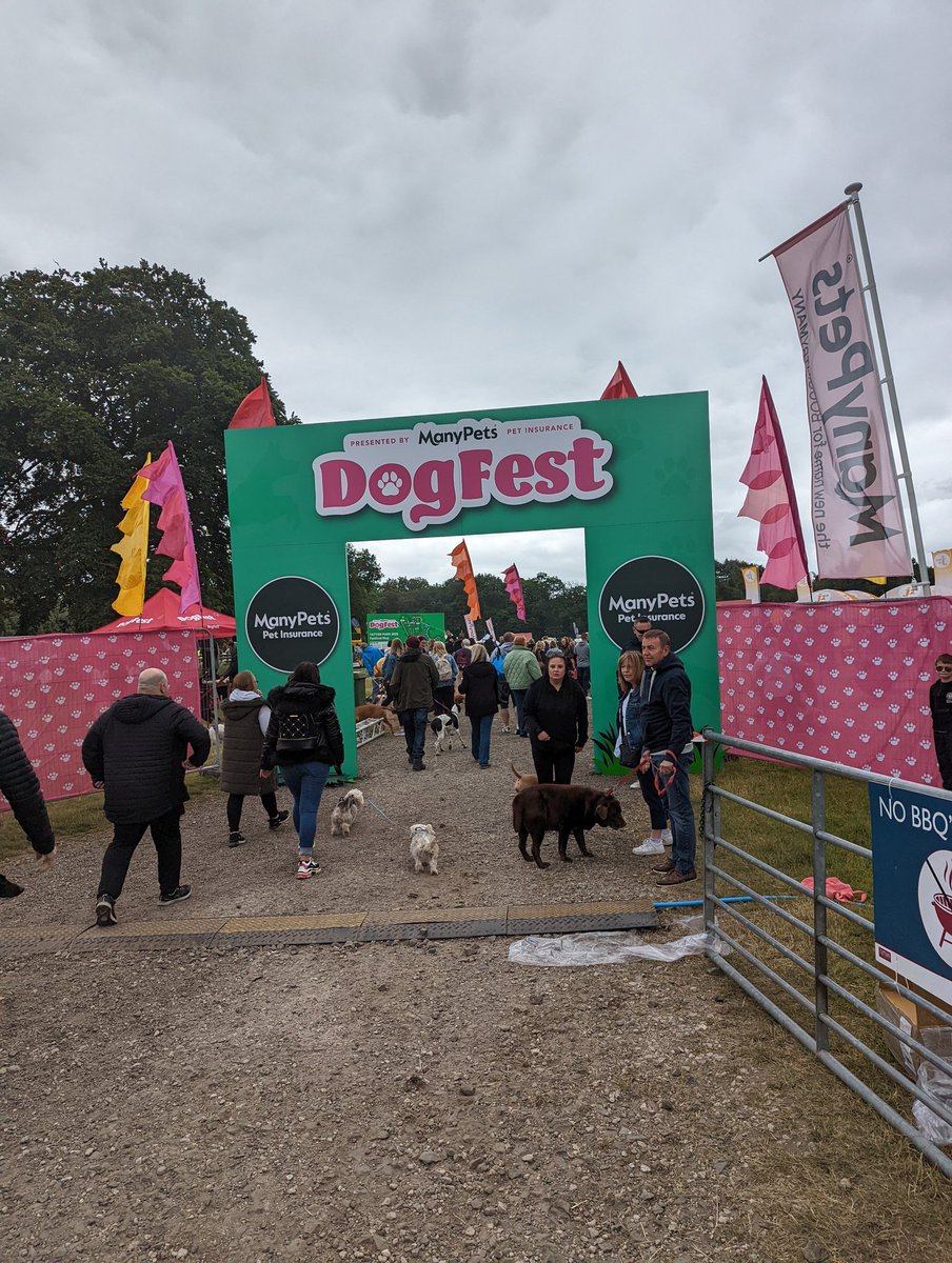 r_hollister95's tweet photo. Our first time at #dogfest and it's safe to say, we had one happy pup! What a wholesome weekend, will definitely be back again next year! 🥰🐶💙 @DogfestUK @manypets_uk #barklife #dogfestival #dogsoftwitter #Spaniels #manypets https://t.co/97tvfLs4aw