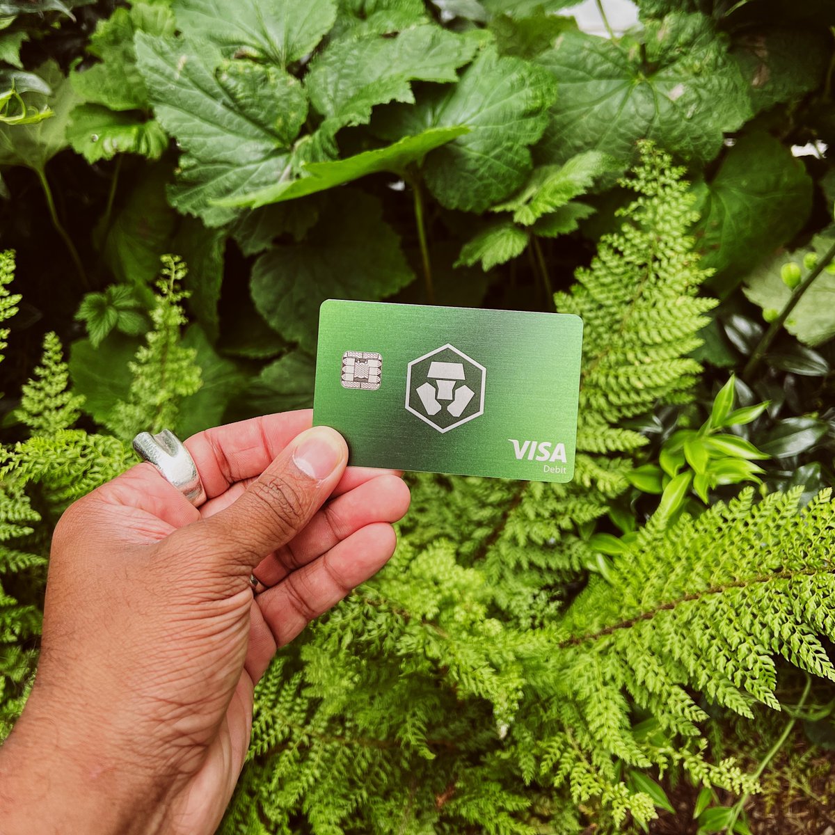 cryptocom's tweet photo. GM. Where did you spend your https://t.co/vCNztATkNg card last weekend? https://t.co/5ZSNqiSA3x