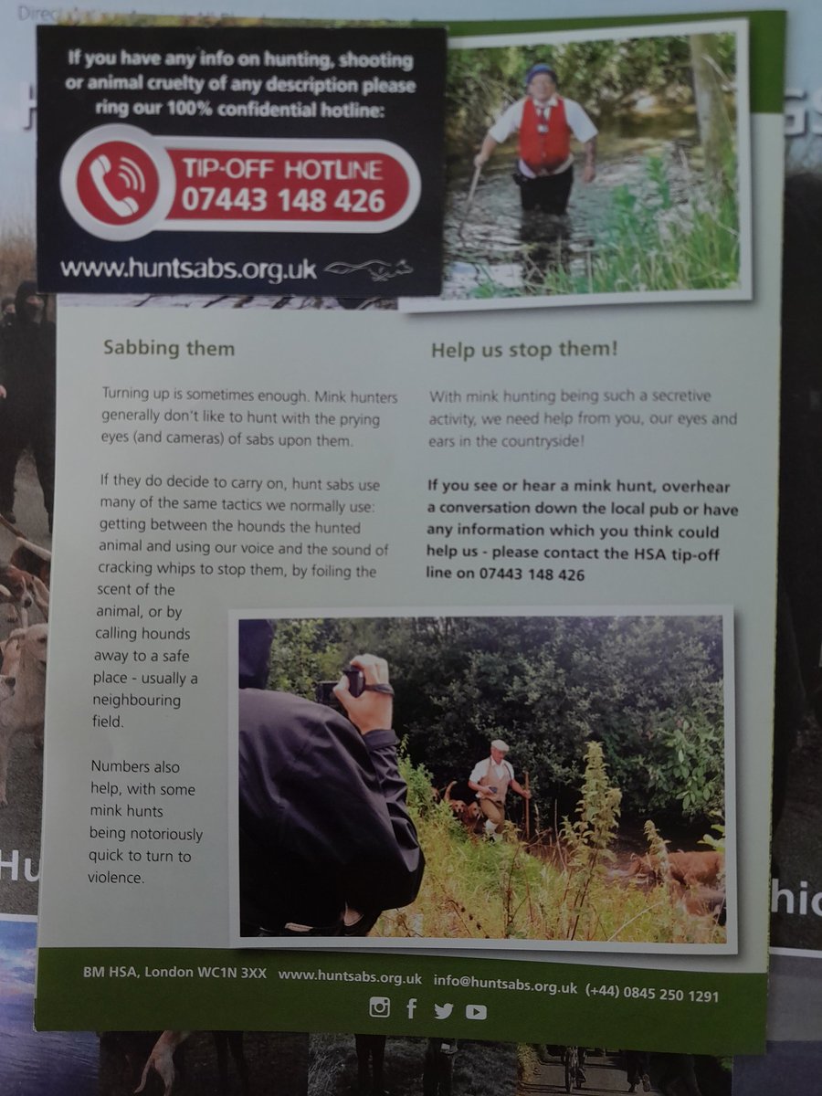 cliveswinsco's tweet photo. #RiverbankHunting 
Time to close these sadistic #summertime hunts down for Good 
Do you #LiveByTheRiver? #Clash #HaveNoFear our #BoldHSA need info. Please contact @HuntSabs #TipOffHotline #SummerVibes
 07443 148 426 ☎️📱📞🚨
Together, we can finish off the 
  #NastyHunts https://t.co/Unr4YV2qLm