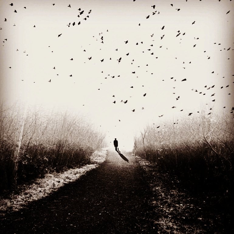 literlandweb1's tweet photo. "Aprendí que las personas podrán olvidar lo que dijiste, podrán olvidar lo que hiciste, pero nunca olvidarán cómo las hiciste sentir".
Maya Angelou https://t.co/XDxPCcRVXl