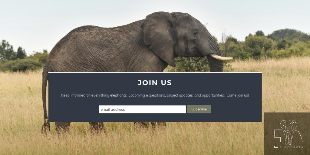 ForElephants_'s tweet photo. Have you joined our newsletter? Subscribe today to get more info on For Elephants and be eligible for special incentives!

Subscribe today: https://t.co/TZY0KIi2W6 

#Newsletter #Elephants https://t.co/70DKt3bJ2B
