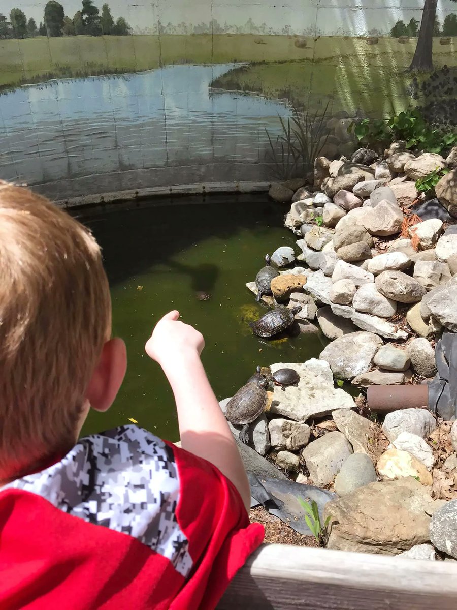 MuncieMuseum's tweet photo. Tomorrow, June 21, marks the first day of summer! Explore our Outdoor Learning Center to find the “Five Senses” garden, climb in the tree house, or count our resident turtles in the pond. https://t.co/5XoHk27PYH