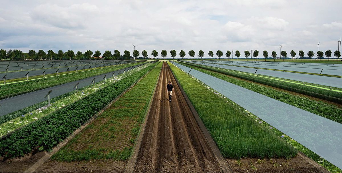 Lunchrondleiding do 23 of di 28 juni
Laat je rondleiden door Thuis in een Energielandschap
Beide dagen 12.30-13.00 uur. 
Kijk ook op podiumarchitectuur.nl
#energietransitie #haarlemmermeer #zonnepanelen