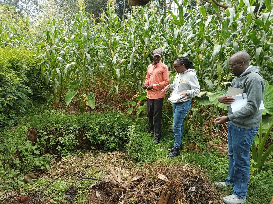 Knowledge Hub for Organic Agriculture inEastAfrica tweet media
