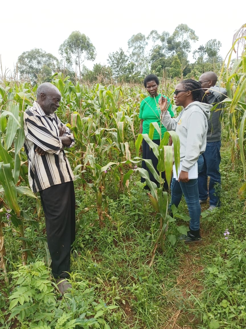 Knowledge Hub for Organic Agriculture inEastAfrica tweet media