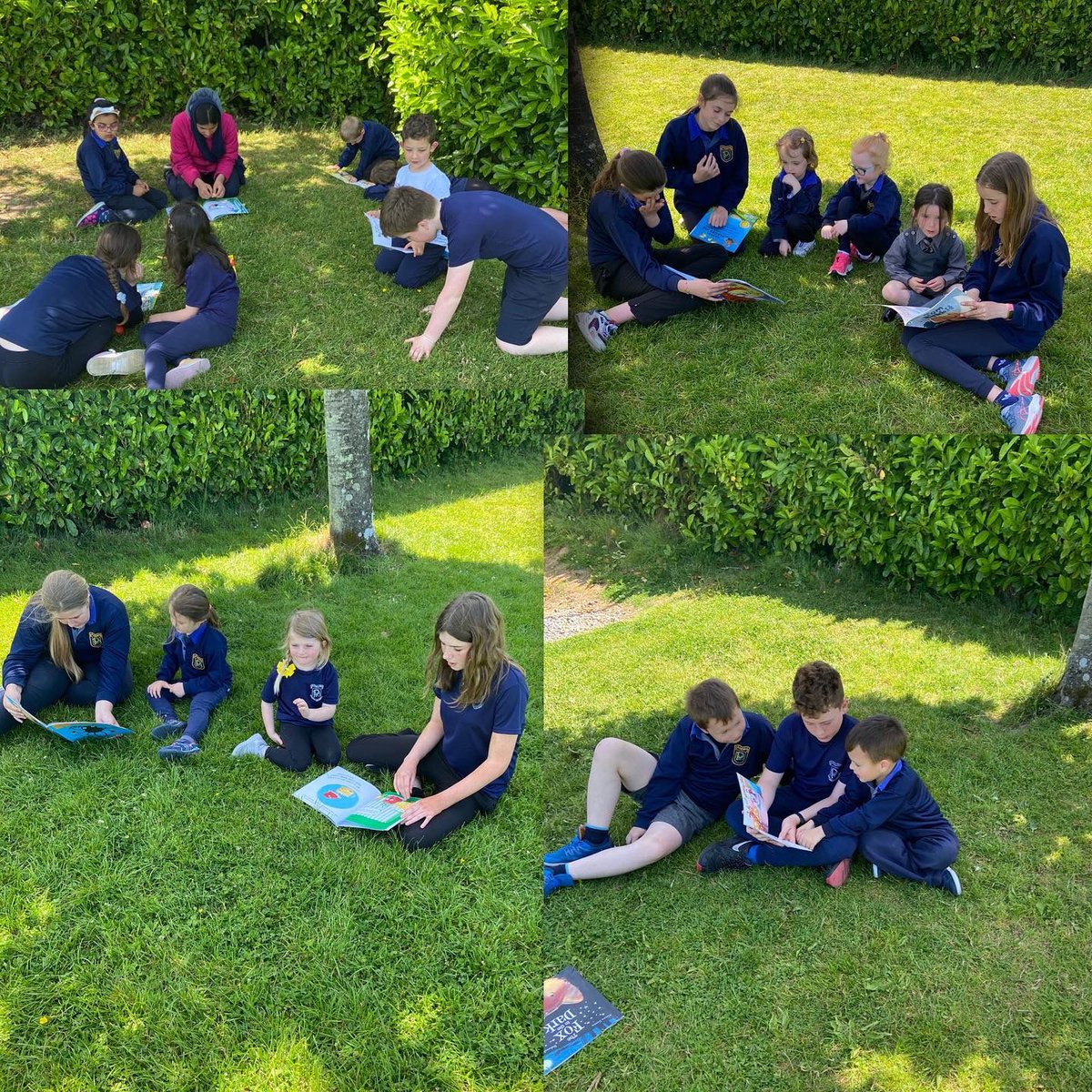 Parteen_School's tweet photo. Junior Infants had a busy day together in the one classroom. They enjoyed station teaching before heading outside (in the shade 🥵☀️) for Buddy Reading with 5th class. 📚
#parteen #parteenschool #hiddengem #juniorinfants #fifthclass #stationteaching #buddyreading https://t.co/N6g00CgTnN
