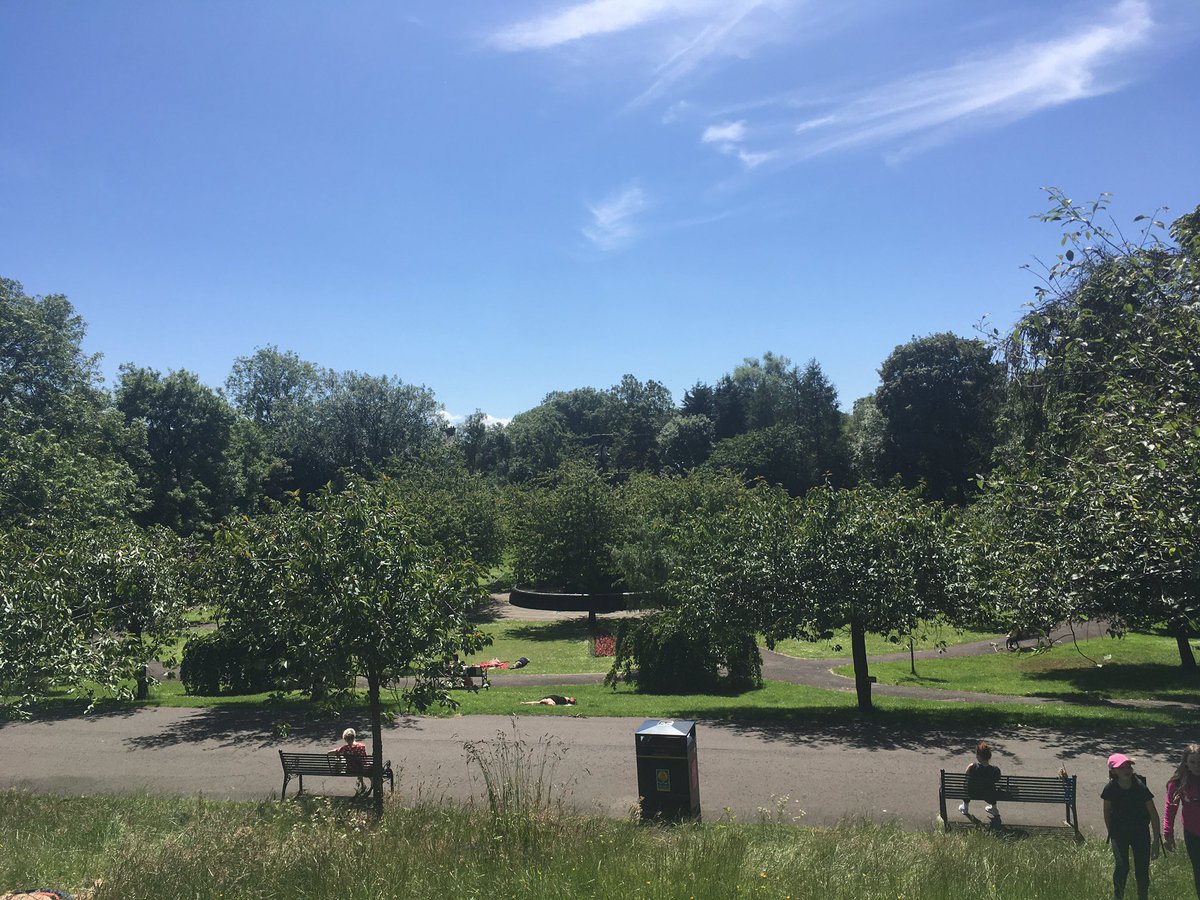 _MissRobbie_'s tweet photo. S2’s classroom for this afternoon 😎

#OutdoorLearning #JohnMuir https://t.co/mDQ56W2yRC