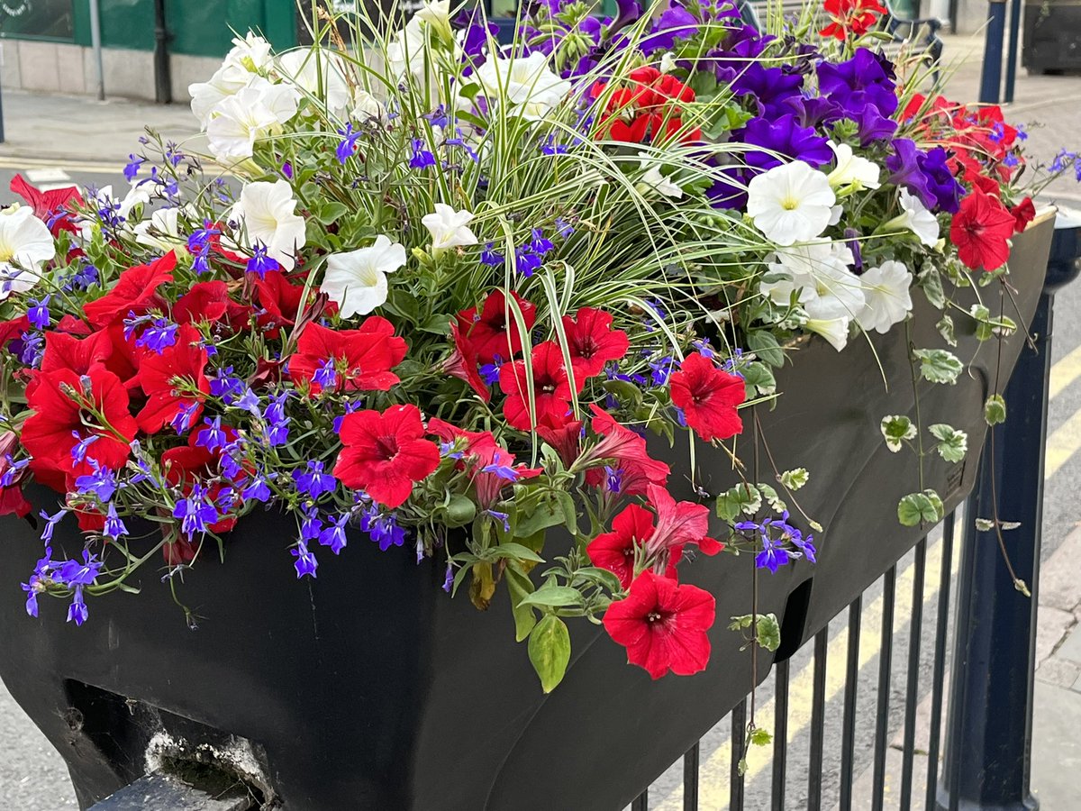 The town’s red, white & blue Jubilee planting is looking stunning in the sunshine. All ready for In Bloom judging day on Monday 4th July, let’s get Gold this year! @BloomMelton @meltontimes @theeyeradio @MeltonDirectory #melton #inbloom #jubileecelebration #judgingday